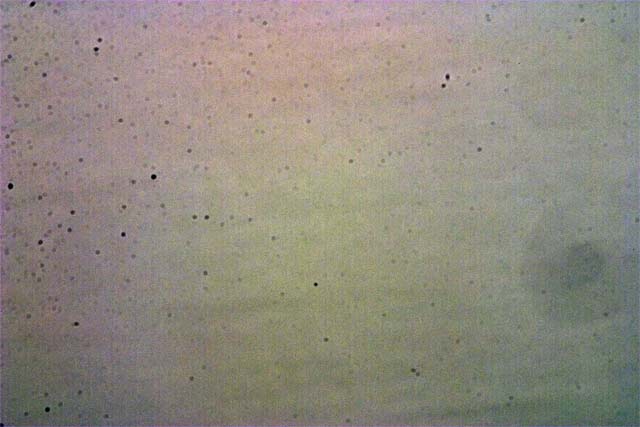 Sensor dust particles