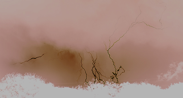 Austin t-storm, 04-18