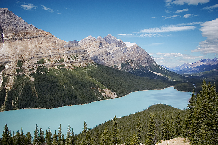 Peyto Lake