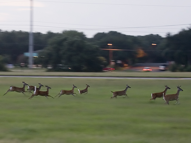 Running away from me