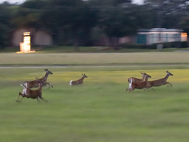 Running away from me