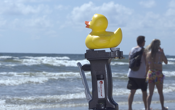 duck5.jpg