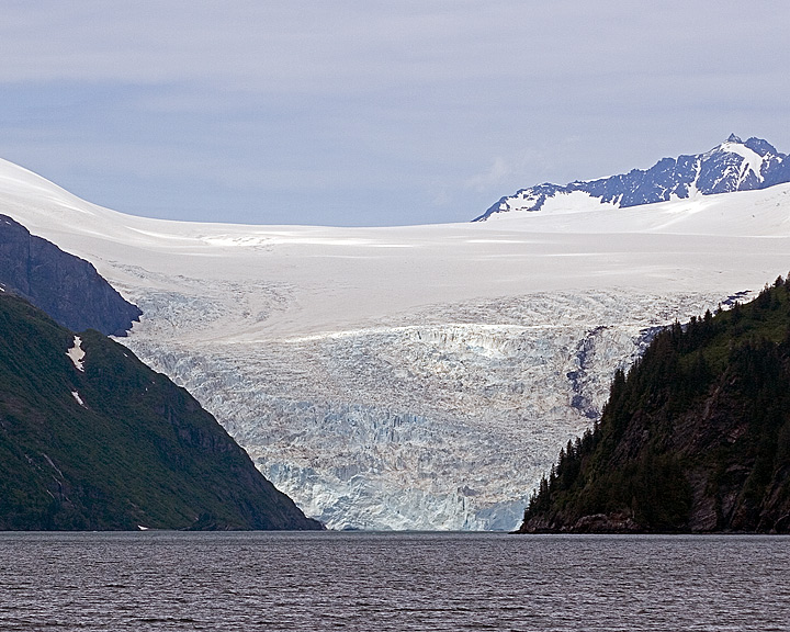_MG_8321.jpg