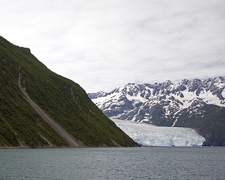 _MG_8341.jpg