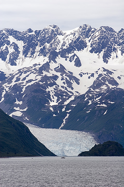 _MG_8330.jpg