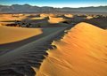 Stovepipe Wells Dunes- Death Valley National Park