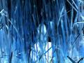 Lost In Blue