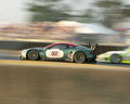 007-800.jpg