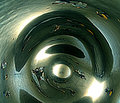 Infinity Under The Bean