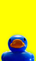 Optically Displeasing Duck