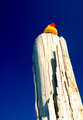 Pole Duck