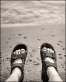 at the beach