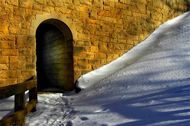 The Door