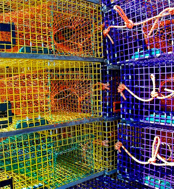 Colorful Catch