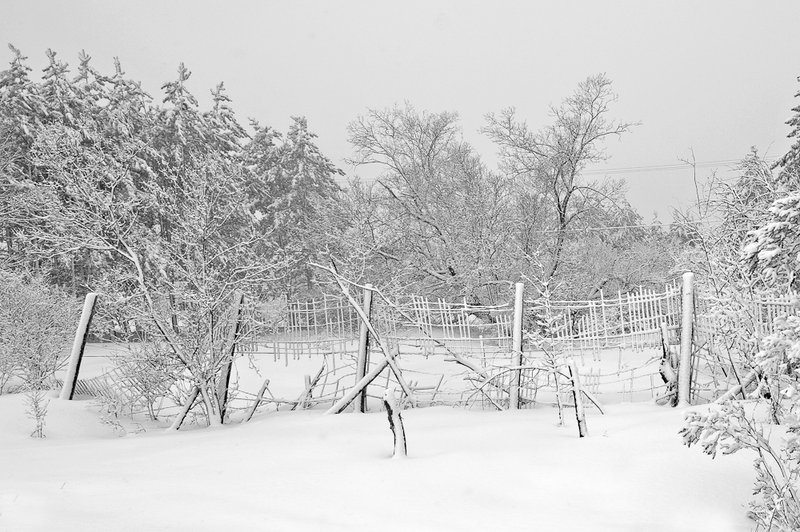 April Snow