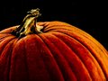 Happy Halloween!