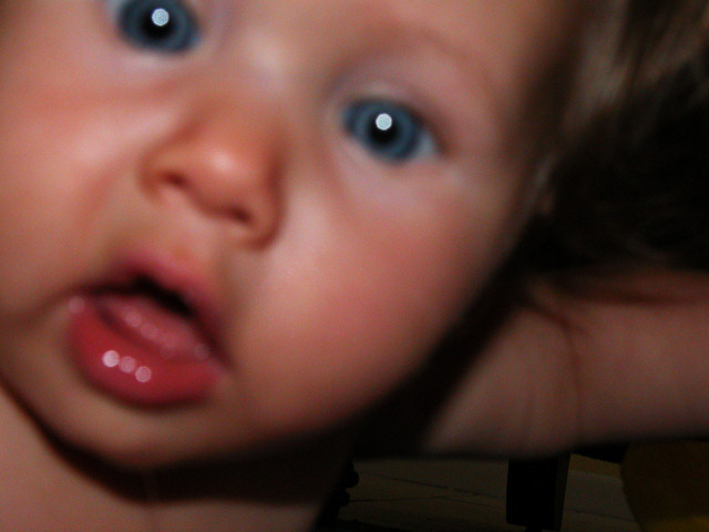 dscn6805e.jpg