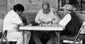 Day 26 The Chess Match