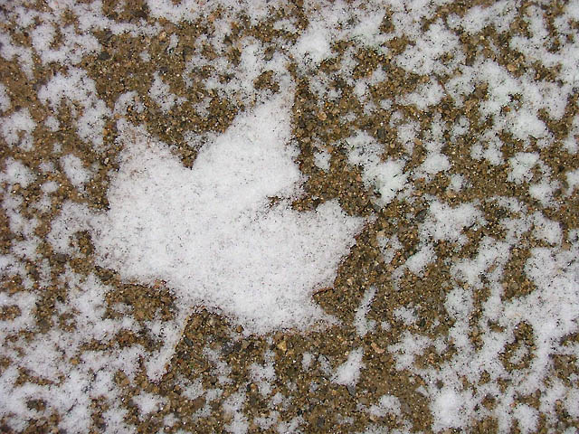 Capricho de nieve.jpg
