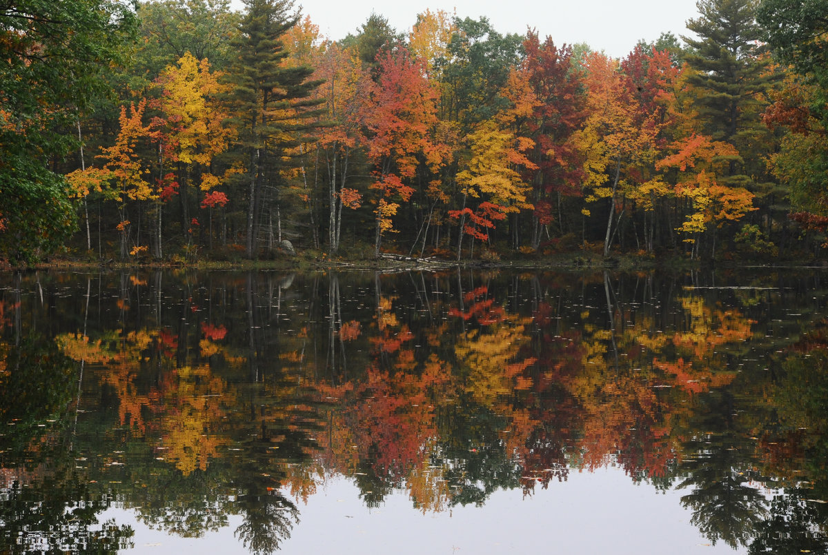 Colorful Reflections