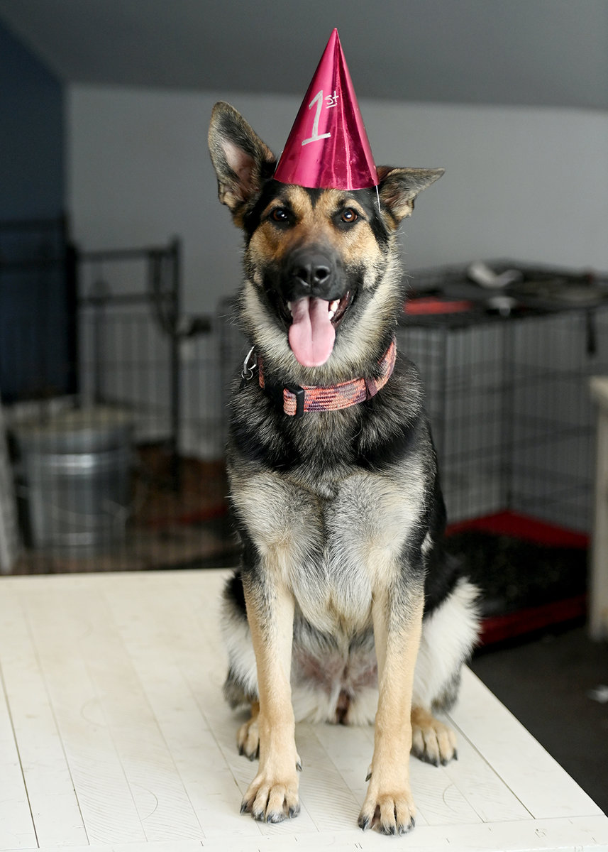 Sierra is One!