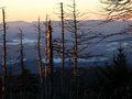 clingmans dome
