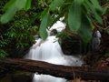 CNF falls.JPG