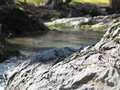 rock stream