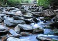 Mountain Stream