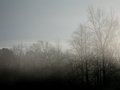 morning fog