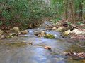 Looking down Gee Creek