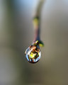 waterdrop