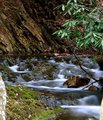 Gee Creek