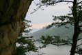 Foggy morning