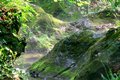 Stream