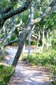 Trail