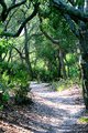 Trail 3