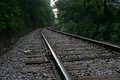 Tracks