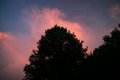 Burning clouds behind tree