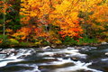 Tellico River