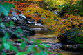 Small Stream