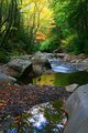 River Reflections