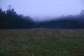 Cades Cove Cabin
