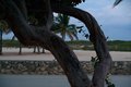South Beach park view