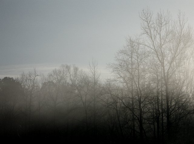 morning fog