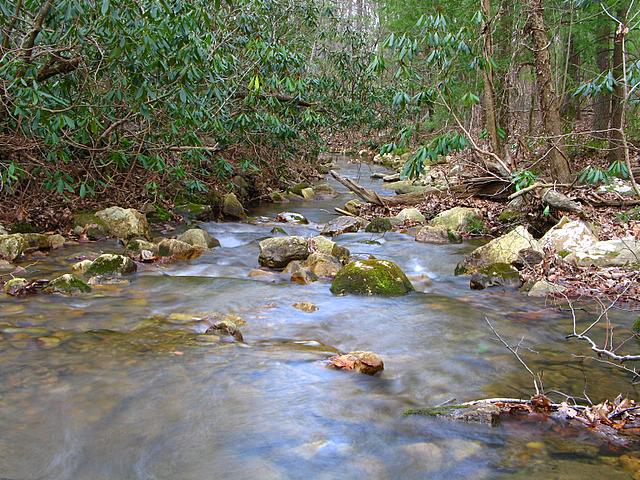 Looking down Gee Creek