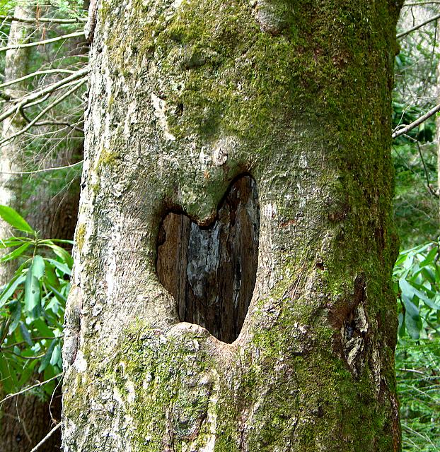 Natural Heart