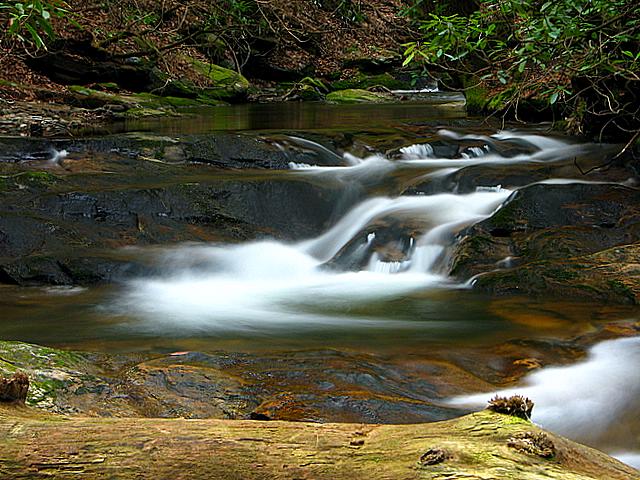 Pool on Dodd creek