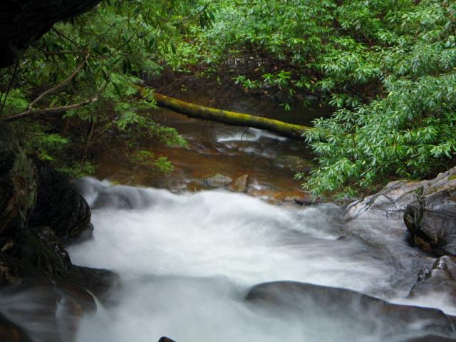 Looking down Dodd creek