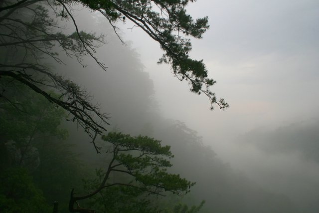 Sunrise on the mountain